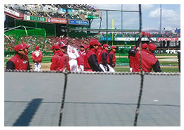 広島東洋カープvs阪神タイガース