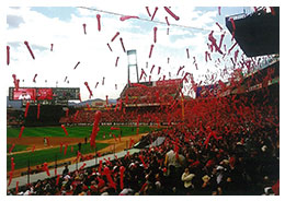 広島東洋カープvs阪神タイガース