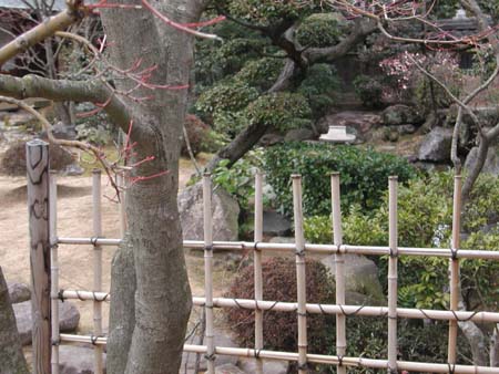 竹垣の向こうに、山南川に繋がる池がある