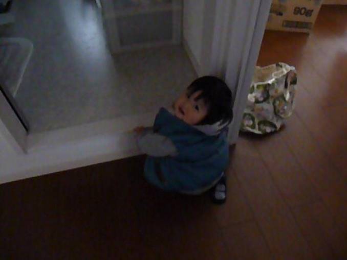 P1000767.JPG